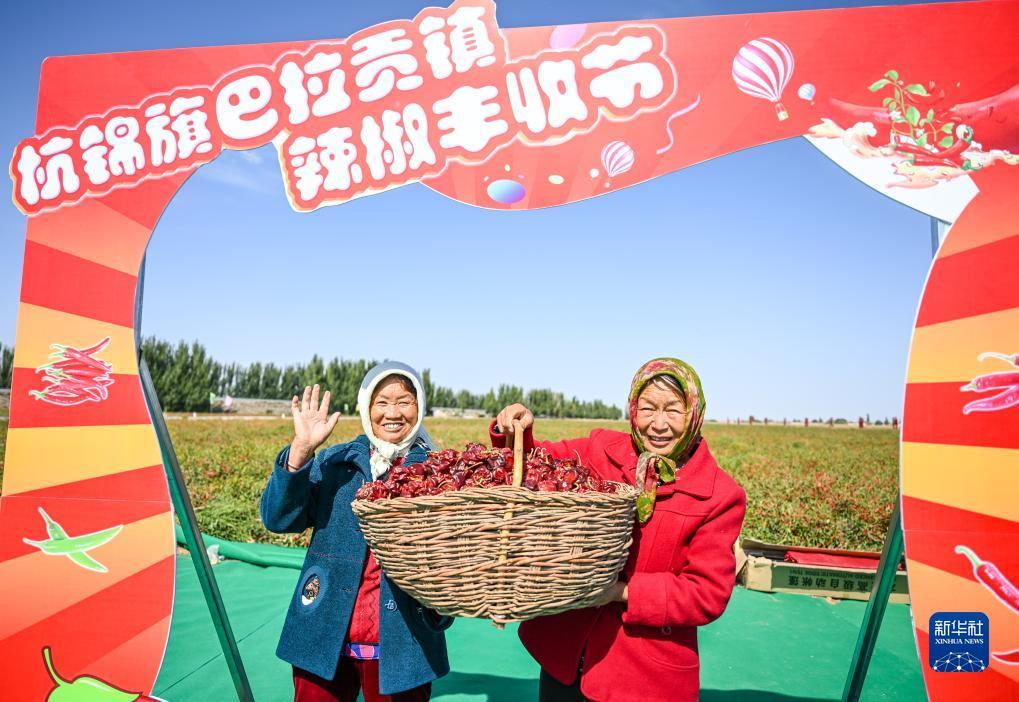 天天斗地主免费下载